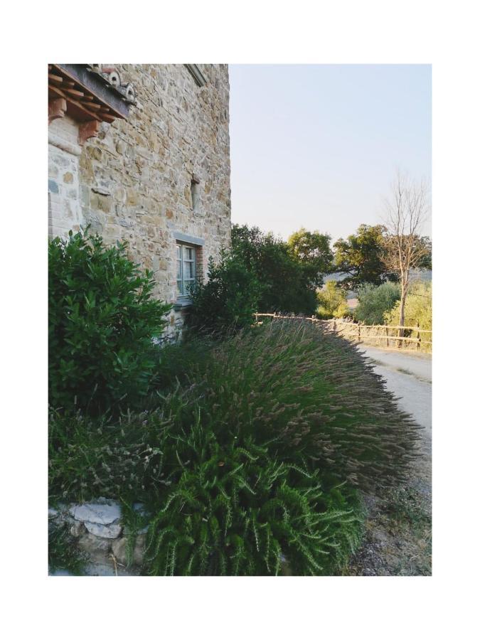 Podere Paradiso Villa Magione Eksteriør bilde