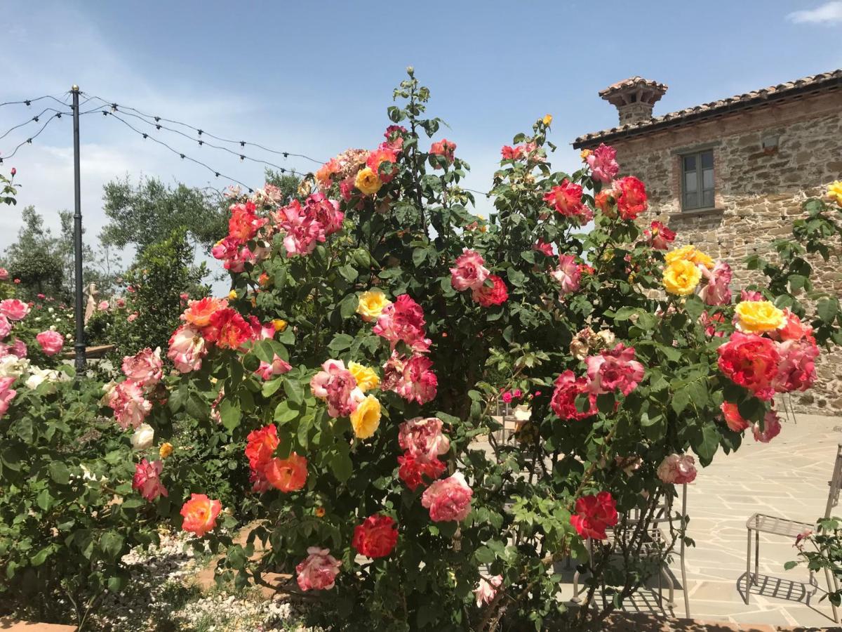 Podere Paradiso Villa Magione Eksteriør bilde